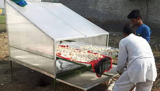 Solar Dryer 3